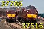 37706 and 37516 at Eastleigh Works 24-May-2009